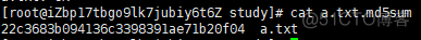 Linux命令之md5sum_Linux_02