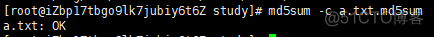 Linux命令之md5sum_Linux_03