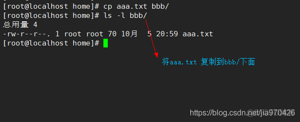 【Linux领域】linux文件目录操作指令_算法_08