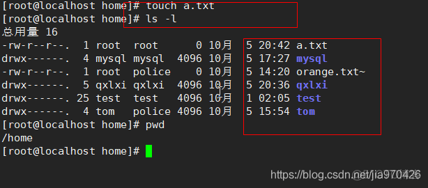 【Linux领域】linux文件目录操作指令_算法_07
