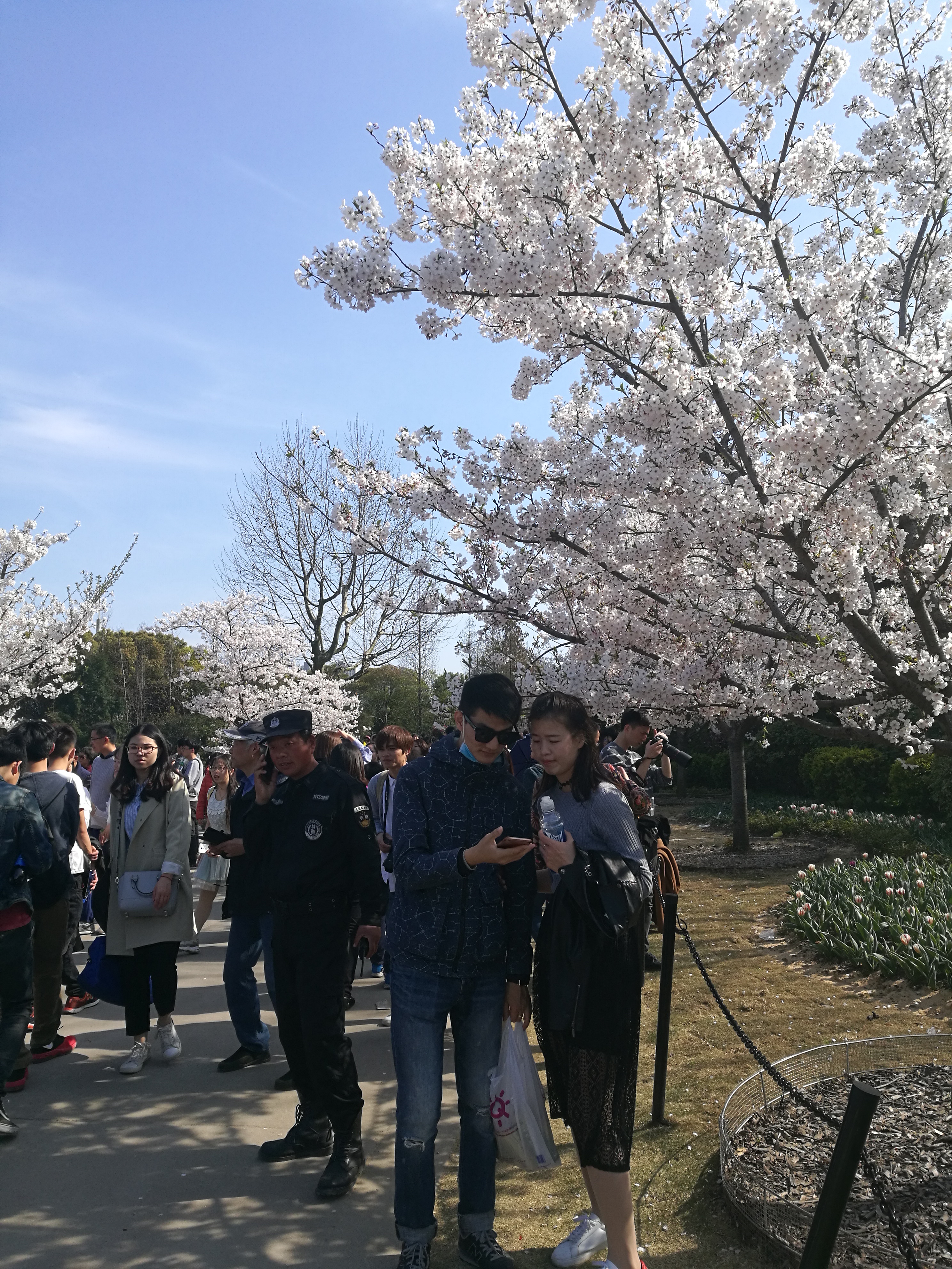 上海之行（九）植物园_游玩_05