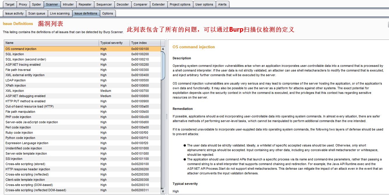 Burp Scanner_编程语言_09