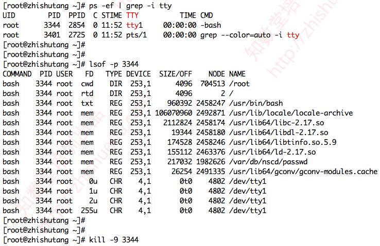 DBA登入服务器后应该先关注啥_sql_02