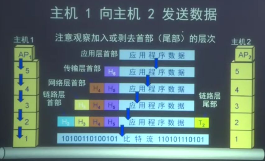 【计算机网络】计算机网络体系结构_计算机