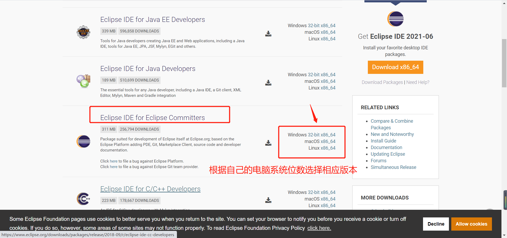 Eclipse以及J2EE的安装_下载速度_04