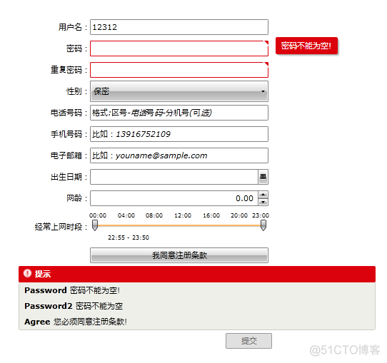 Silverlight Telerik控件学习：数据录入、数据验证_#if