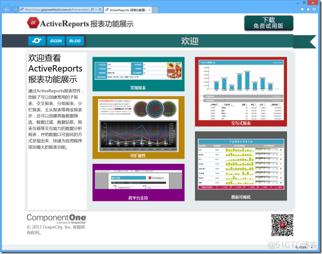 ActiveReports 报表应用教程 (6)---分组报表_数据_05