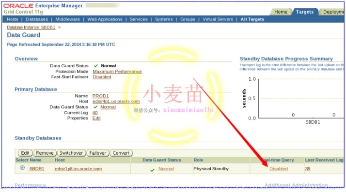 【DG】利用闪回数据库（flashback）修复Failover后的DG环境_sql_13