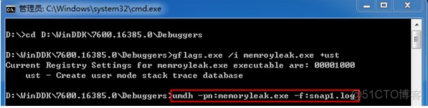 【内存检测系列】window下windbg内存泄漏检查_内存泄漏_04