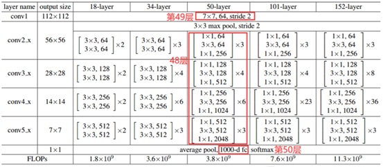 ResNet50结构_2d_02