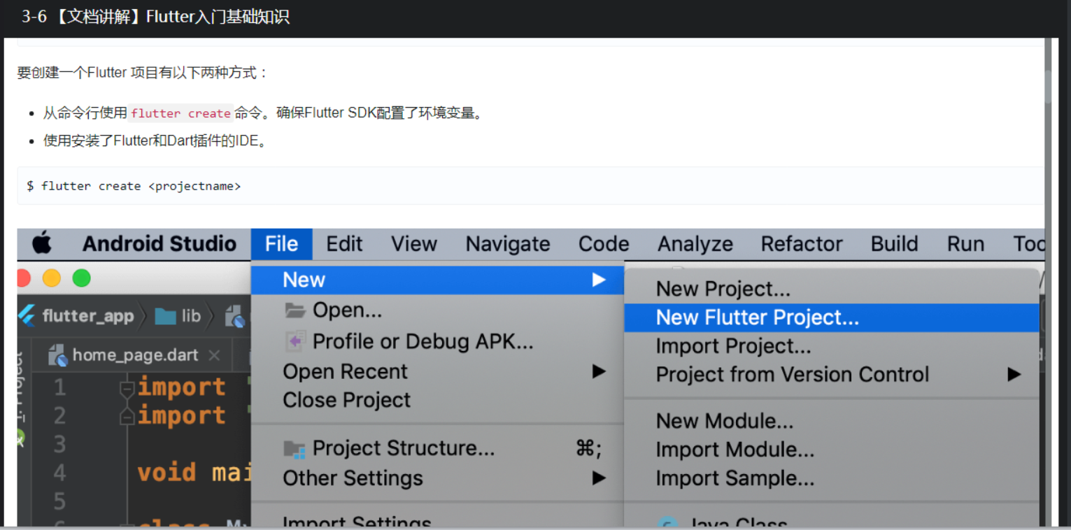 3-6 【文档讲解】Flutter入门基础知识_flutter_02