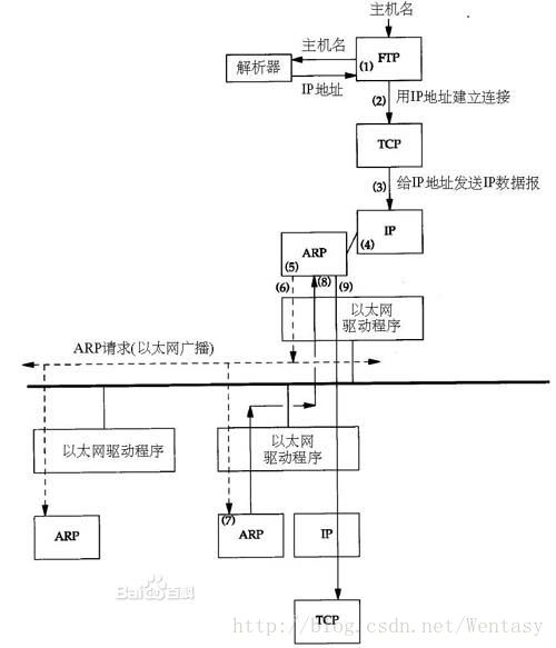 ping命令流程详解_缓存_03