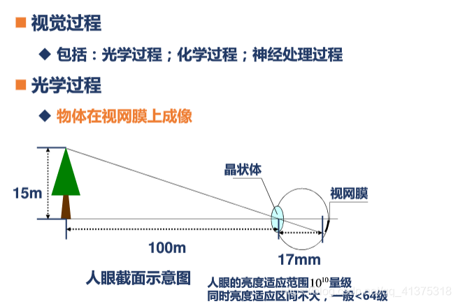 人眼视觉特性_图像处理_02