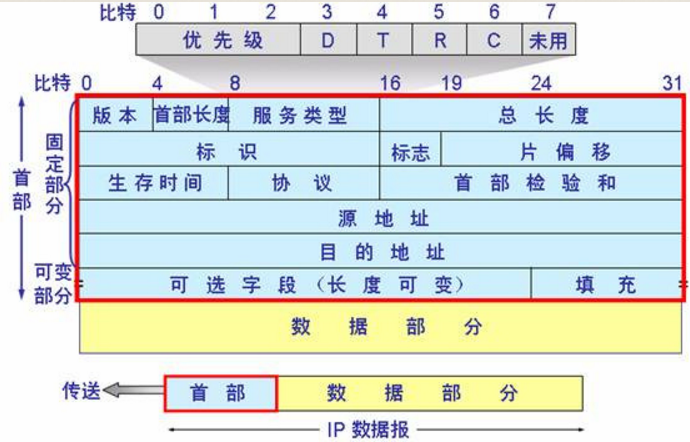 计算机网络_数据_02