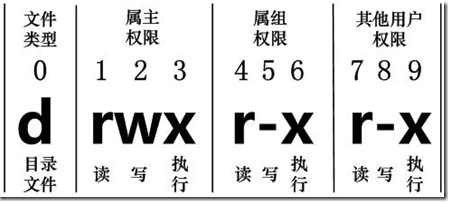 吴裕雄--天生自然Linux操作系统：Linux 文件基本属性_文件名_02