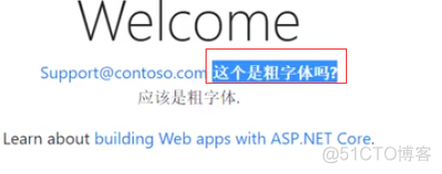 ASP.NET Core MVC 2.x 全面教程_ASP.NET Core MVC 22. 再讲Tag Helpers_css_42