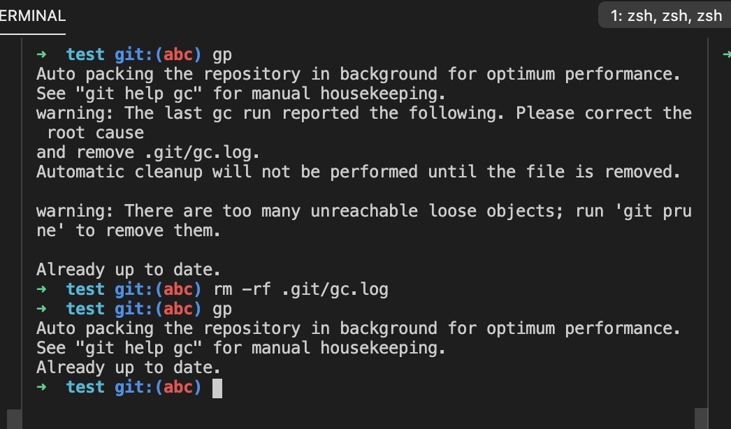 rm -rf .git/gc.log_GC