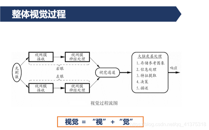 人眼视觉特性_图像处理_03