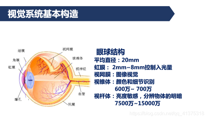 人眼视觉特性_特征提取