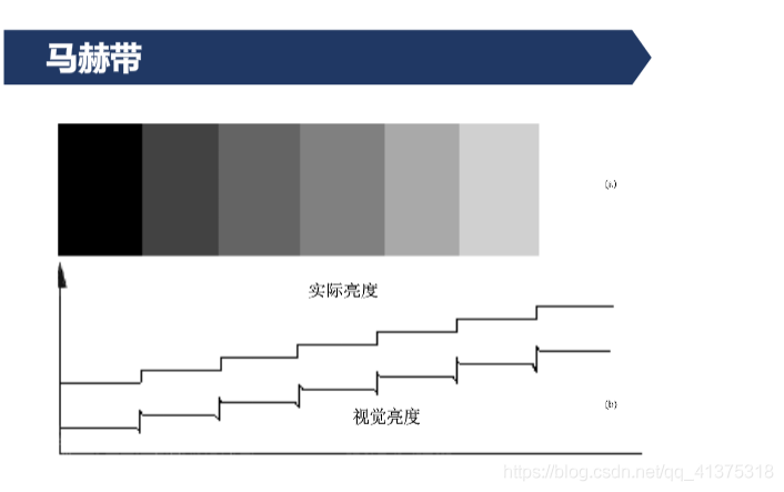 人眼视觉特性_图像处理_12