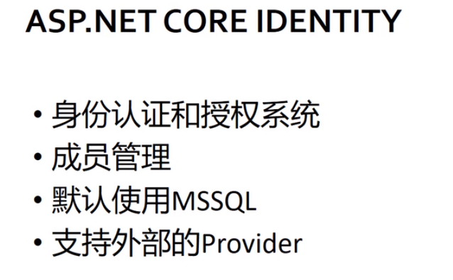 ASP.NET Core MVC 2.x 全面教程_ASP.NET Core MVC 14. ASP.NET Core Identity 入门_字段