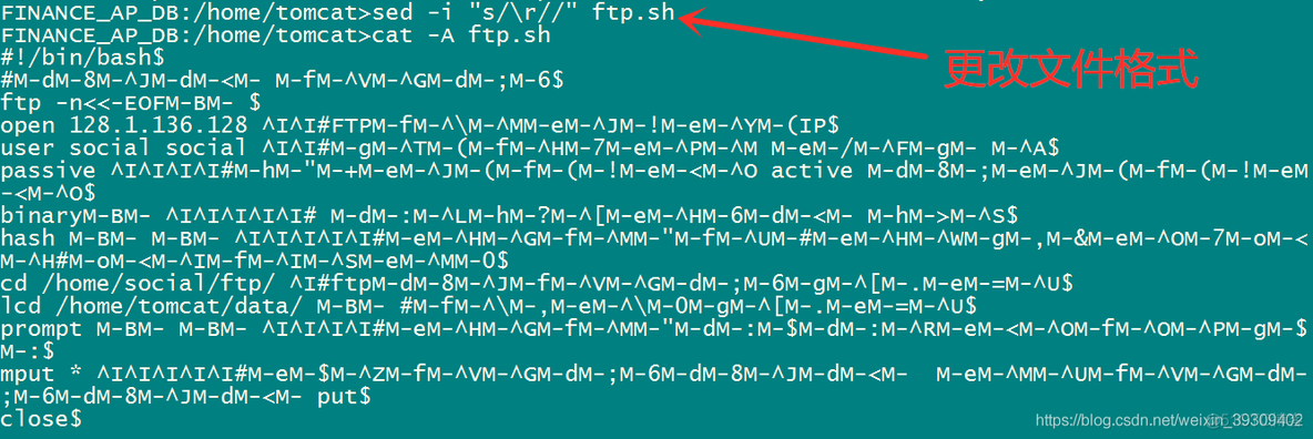 shell脚本执行报错：/bin/bash^M: bad interpreter: No such file or directory_编辑文件_03