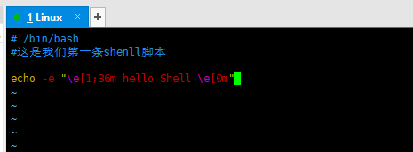 Shell基础（2）- 脚本执行方式_bash_02