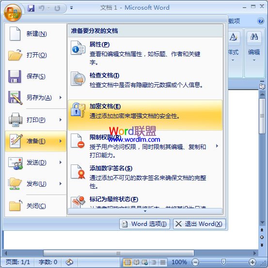 如何给Word文档加密 Word2003/2007/2010各版本加密攻略_打开文件_05