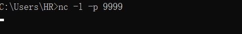 【Windows】windows安装Netcat_linux_04