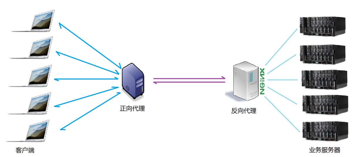 Nginx详解（正向代理、反向代理、负载均衡原理）_服务器_04