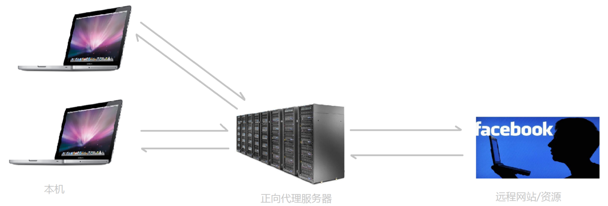 Nginx详解（正向代理、反向代理、负载均衡原理）_反向代理_02