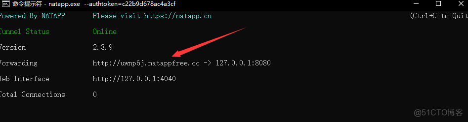 使用NATAPP 进行内网穿透(让外网访问本机发布的网址)_3c_03