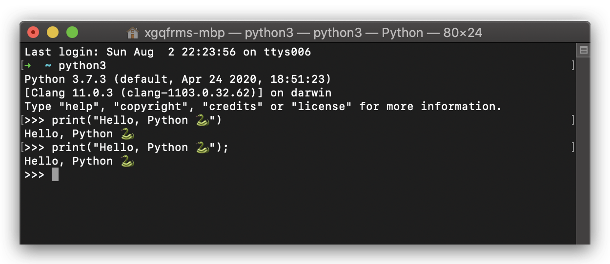 Versatile Python 3.x_REPL