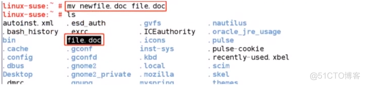 (Linux文件操作命令)零基础小白学习_入门到精通04_重命名_05