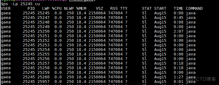 cpu load过高问题排查_sql_02