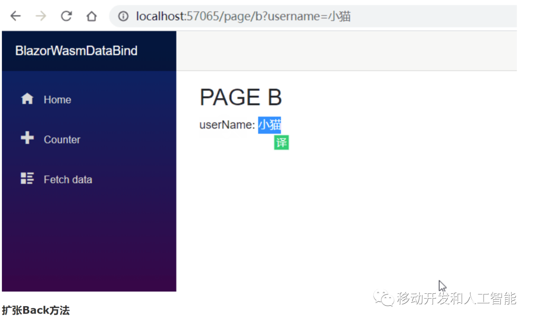 ASP.NET Core Blazor Webassembly 之 路由_a标签_05