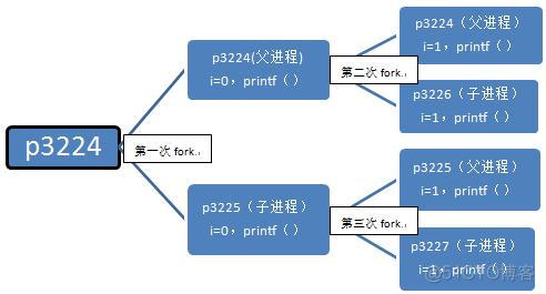 【多进程】Linux中fork()函数详解|多进程_父进程_02