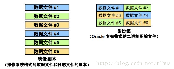 Oracle DB 执行数据库备份_控制文件_02