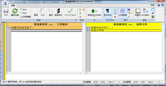 【SVN】SVN搭建以及客户端使用_客户端_33