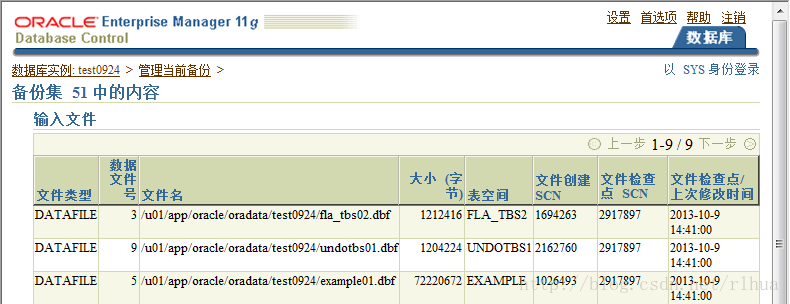 Oracle DB 执行数据库备份_oracle_21