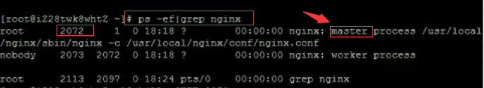 Nginx的启动、停止与重启_nginx