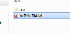 【SVN】SVN搭建以及客户端使用_服务器_23