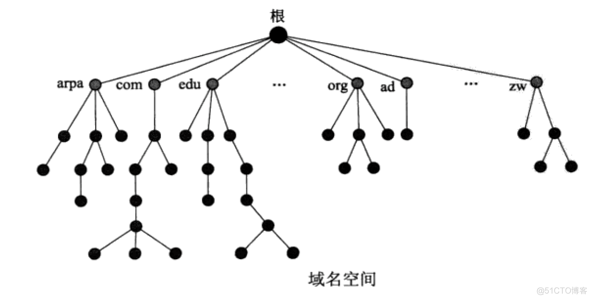 TCP/IP 域名系统DNS_结点_02