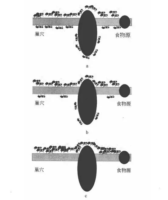 蚁群算法简介及应用_迭代