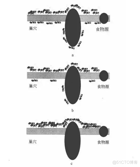 蚁群算法简介及应用_迭代