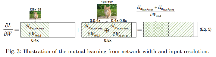 轻量级网络：MutualNet:，Adaptive ConvNet via Mutual Learning from Network Width and Resolution_github_05