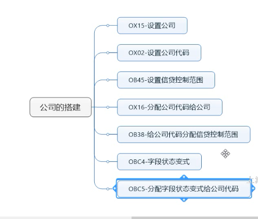 SAP公司搭建的流程及步骤_数据