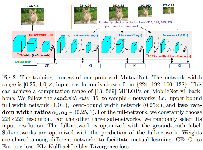 轻量级网络：MutualNet:，Adaptive ConvNet via Mutual Learning from Network Width and Resolution_论文_04