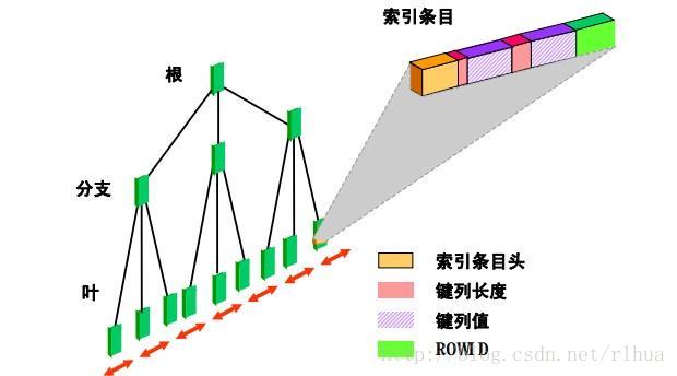 Oracle DB 索引_约束条件