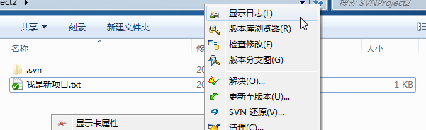 【SVN】SVN搭建以及客户端使用_版本库_38